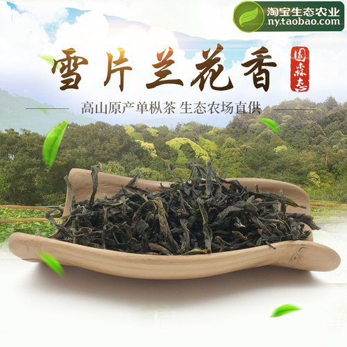 潮州凤凰新茶单丛茶叶乌岽雪片特级大乌叶冬茶兰花香清香型单枞茶 - 封面