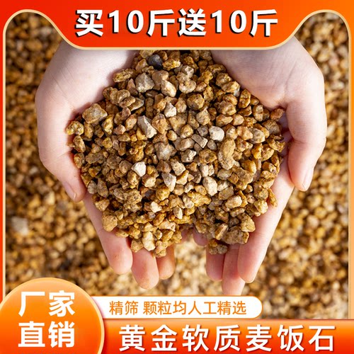 今日特价20斤多肉黄金软麦饭石颗粒绿植盆栽通用天然拌土铺面