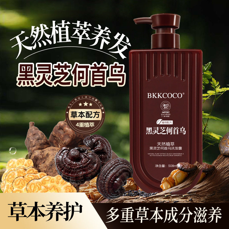 黑灵芝何首乌生姜养发洗发露