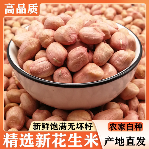 2025年新鲜花生米新上市大颗粒白沙生花生米生鲜河南农家自产特级