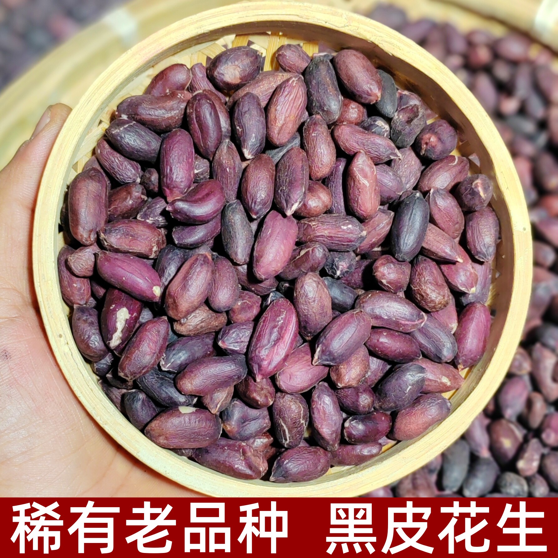 【稀有老品种】2025年新鲜黑花生米黑紫皮生花生新货去壳晒干营养