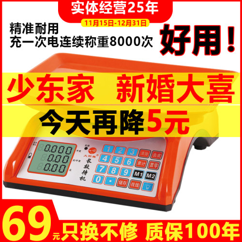 大阳高精度电子秤厂家直销