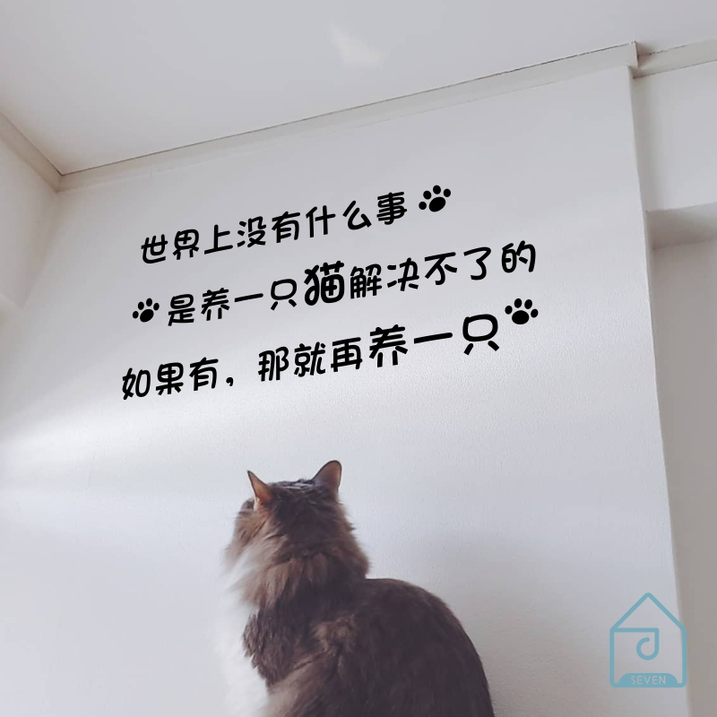没什么事是养一只猫咪解决不了的宠物猫舍咖啡店玻璃墙面装饰贴纸图片