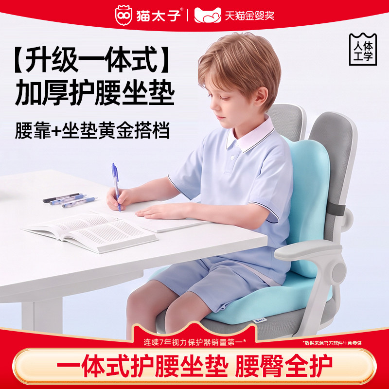 腰靠+坐垫一体腰臀全护正坐姿图片