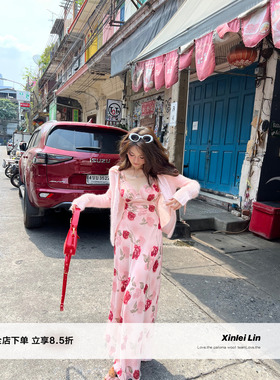 Xinlei Lin“玫瑰花开”V领雪纺清透印花长款连衣裙女春季裙子女