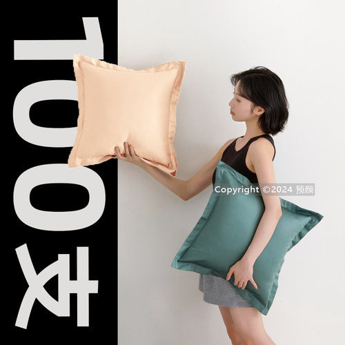 100支长绒棉抱枕套A类