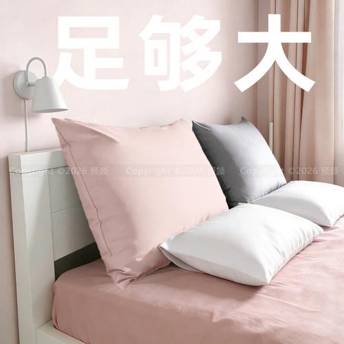 一对装特大号纯棉枕头套50x80加大尺寸60x90乳胶枕套55x全高级感