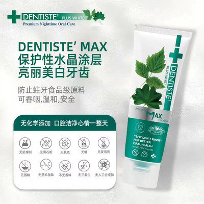 丹师特DENTISTE旅行套装