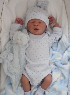 43CM Reborn Baby Doll Silicone Vinyl Cloth Preemie Doll Alre