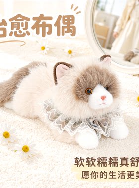 抱抱宝贝仿真布偶猫公仔