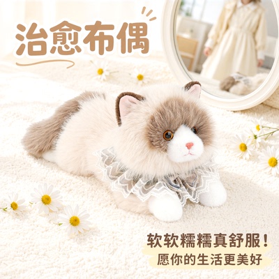 抱抱宝贝仿真布偶猫公仔