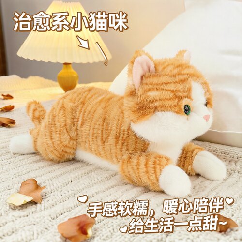 抱抱宝贝猫猫玩偶抱枕礼物
