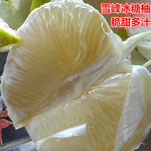 怀化安江冰糖柚雪峰冰糖柚小苦柚金兰老树冰糖柚