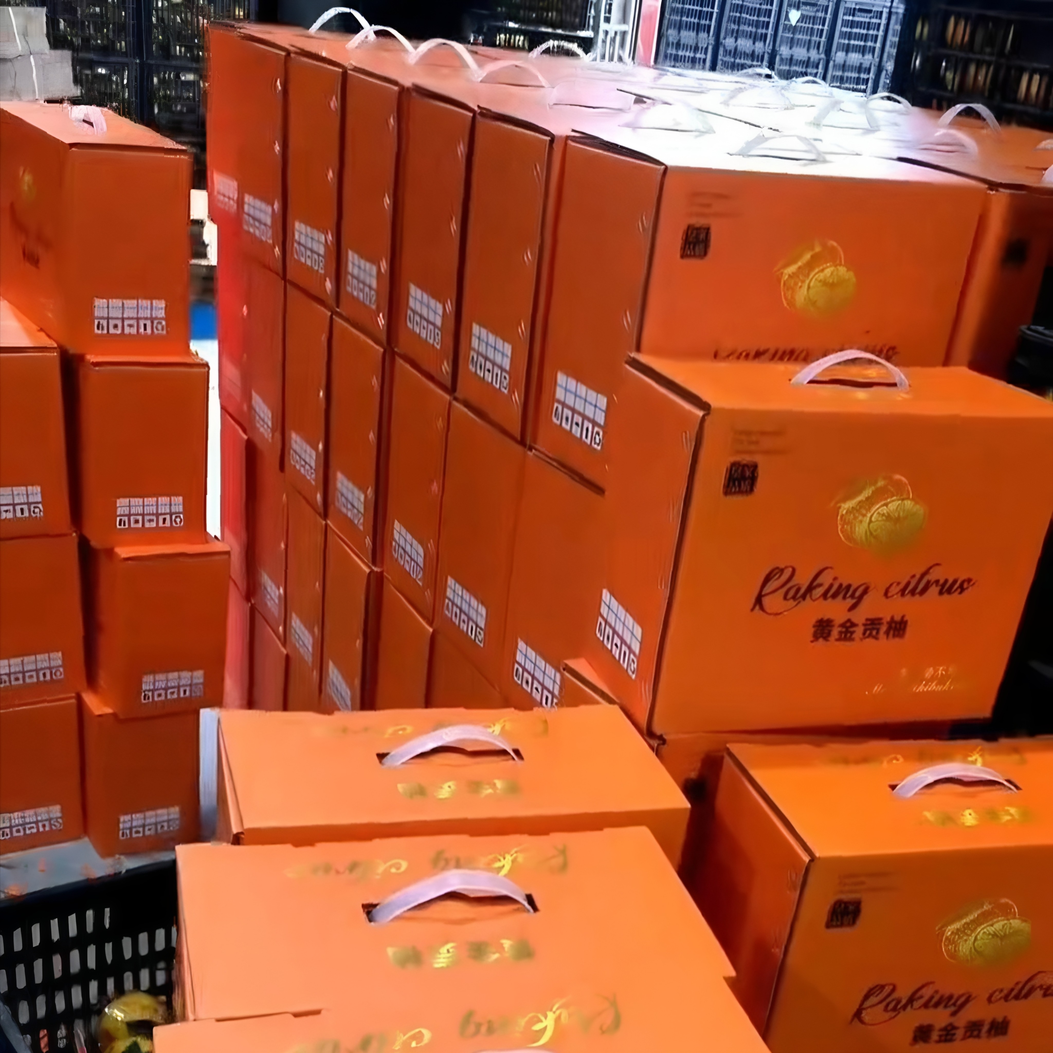 怀化洪江安江黄金贡柚春香桔柚象山青湖南雪峰小甜柚礼盒大果10斤