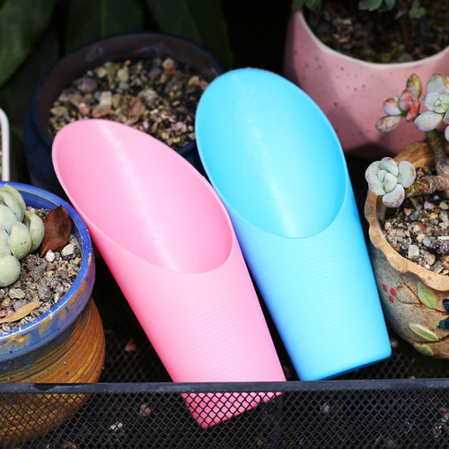 多肉铲子园艺工具盆栽塑料桶铲