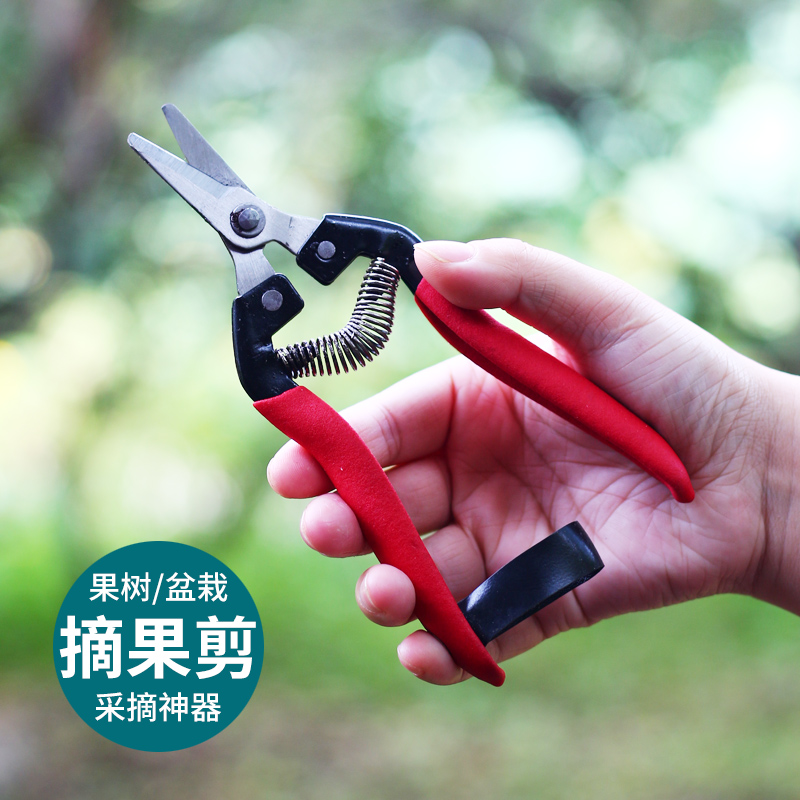 采果剪水果桔子葡萄剪采摘剪