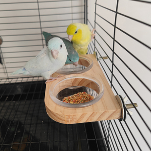 牡丹玄凤小太凯克阳鹦鹉鸟分离饮水饲料喂食杯盒盆休息玩耍站台棒
