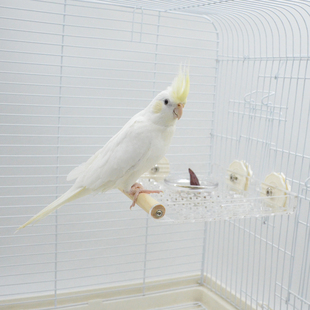 牡丹玄凤鹦鹉站台亚克力休息互动吃喝平台站网鸟笼攀爬网配件用品