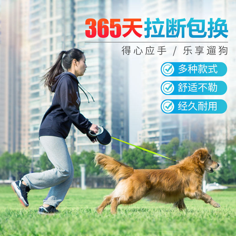 狗狗牵引绳泰迪博美小型中型大型犬自动伸缩神器遛狗绳狗链子用品