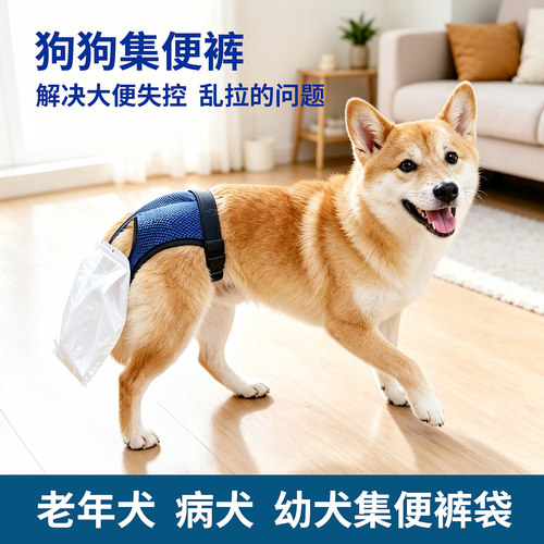 集便裤老狗病狗粪便收集裤百爱吉