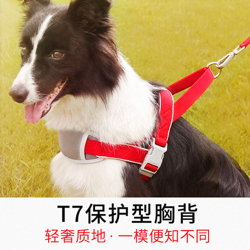 狗狗牵引绳背心式小型犬大型犬拉布拉多边牧金毛胸背带遛狗牵引绳