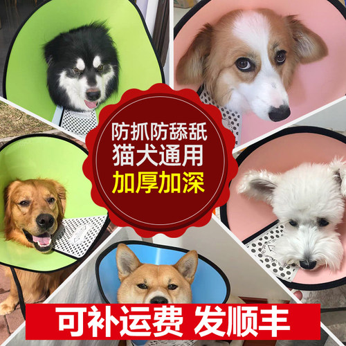 加深伊丽莎白圈宠物头套防舔咬