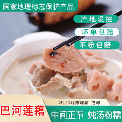 湖北巴河莲藕炖汤粉藕煲汤糯藕面藕地标非洪湖莲藕新挖产地直销