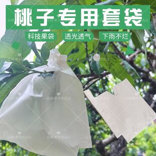 包桃子纸袋套袋专用袋桃袋果袋水蜜桃黄桃袋蟠桃水果套袋防水家用