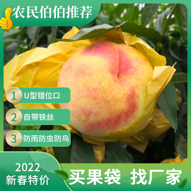 桃袋果袋套袋水果纸袋黄桃套袋育果袋防水防虫防鸟柑橘袋包邮家用