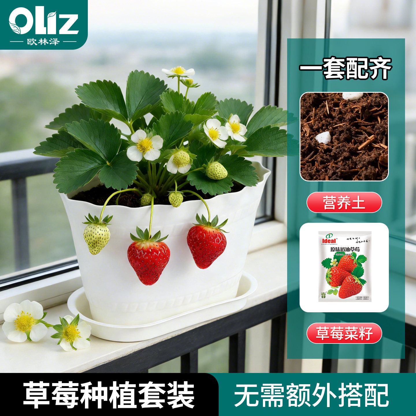 欧林泽阳台草莓盆栽套装好养图片