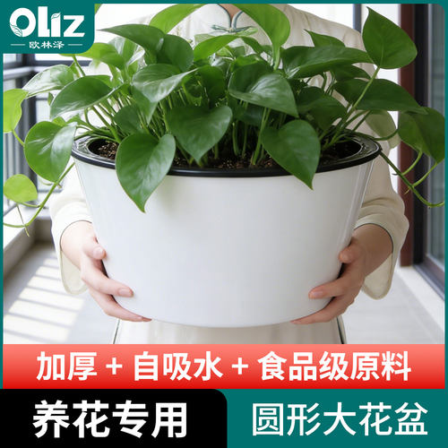 欧林泽加厚自吸水圆形食品级花盆