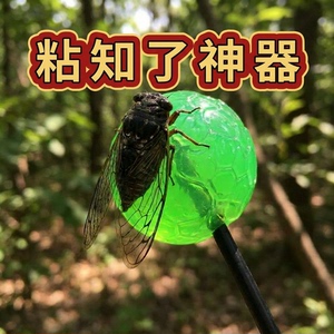 夏季户外解压神器粘知了胶球+蝉