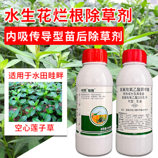 水花生克星烂根剂专杀连根除革命草莲子草水葫芦过江藤专用除草剂