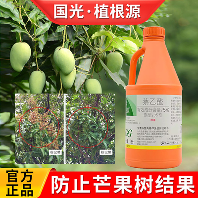 绿化芒果树落果药防坐果防抑制