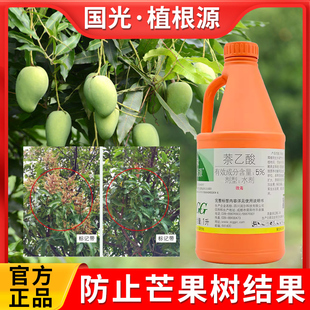 绿化芒果树落果药防坐果防抑制控制结果过开花避免结果国光植根源
