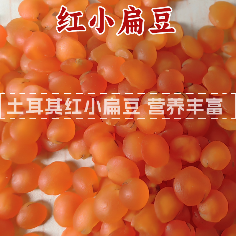 小红扁豆红小扁豆番茄红扁豆新鲜粗粮杂粮五谷豆类豆子流行农产品
