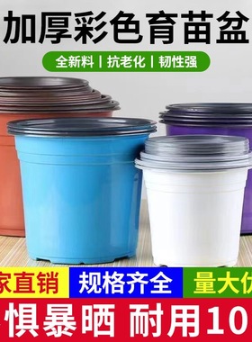 加厚双色盆草莓多肉大号花盆塑料营养钵白色蓝色紫色扦插育苗花盆