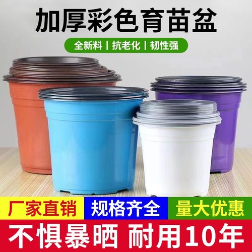 加厚双色盆草莓多肉大号花盆塑料营养钵白色蓝色紫色扦插育苗花盆