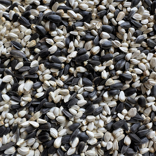 小黑瓜子红花籽混合鹦鹉鸟食油葵白瓜子2合1鸽粮仓鼠零食 5斤