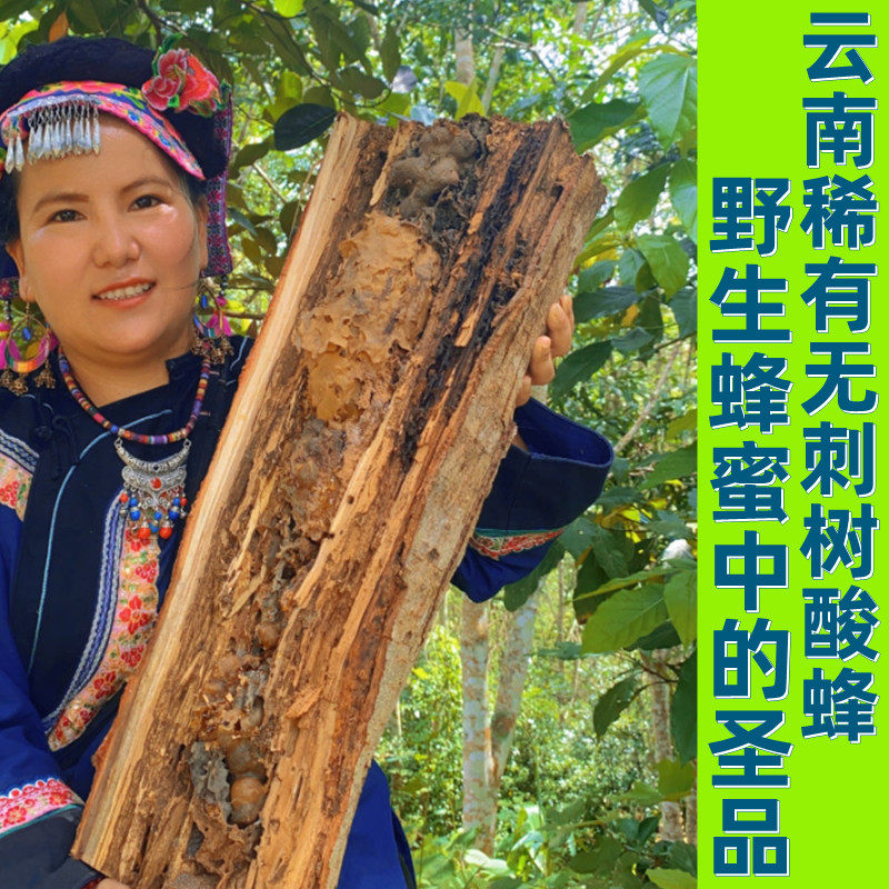 云南深山野生树酸养生开胃酸蜂蜜