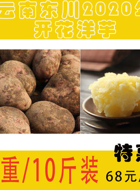 正宗东川李子沟 高山开花洋芋特产不开花 坏果包退 马铃薯新鲜