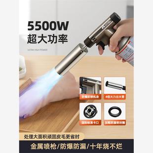 喷枪家用高温烧猪毛卡式 德国喷火烤枪气罐烧毛烧肉 手持喷火器枪
