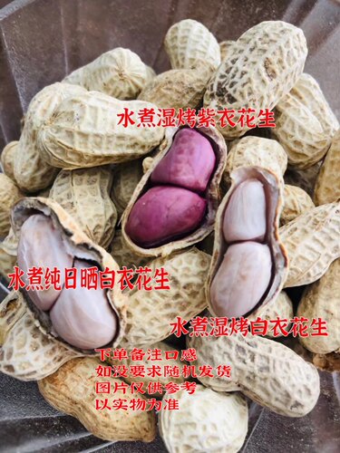 梅州农家自种水煮紫衣当季白花生