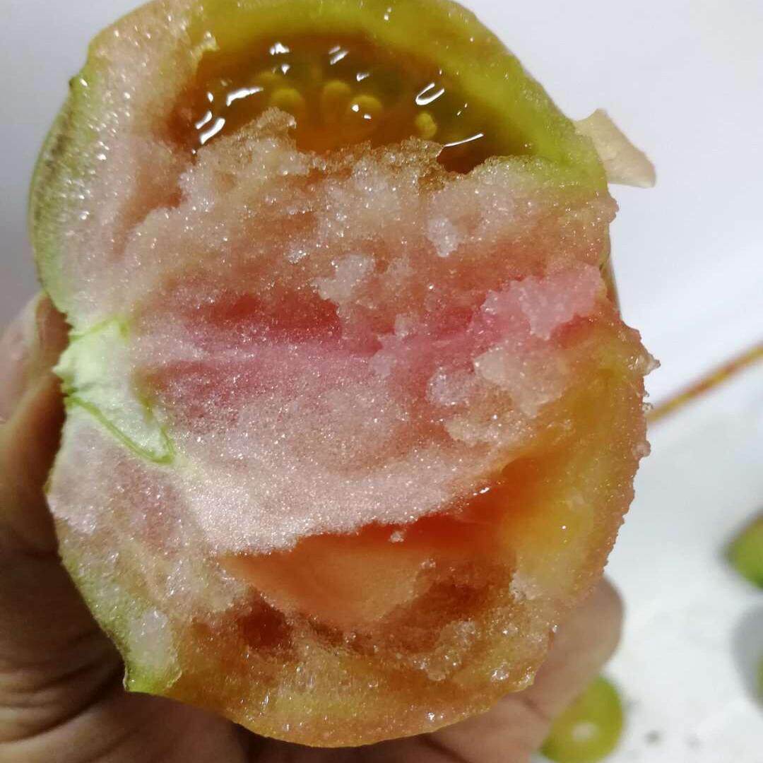 顺丰包邮梅州蕉岭老品种马蹄西红柿非转基因番茄沙瓤露天自熟9斤