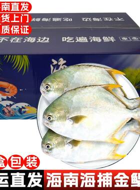 海南金鲳鱼鲜活冷冻空运礼盒装