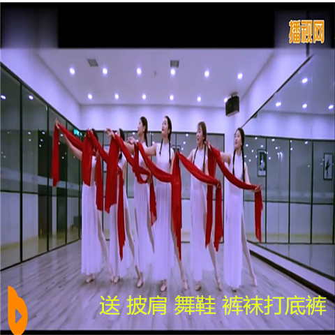 芳华演出服飘逸长裙纯色古典舞