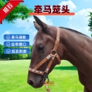 马具马笼头马嘴笼马龙套马嘴套马嘴笼牛嘴套牵马调教马龙头马术