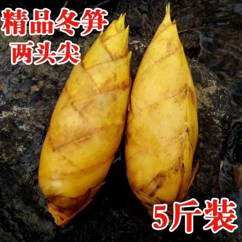 2头尖冬笋现挖新鲜冬笋鲜笋黄泥拱笋尖江西农精品大冬笋5斤3斤