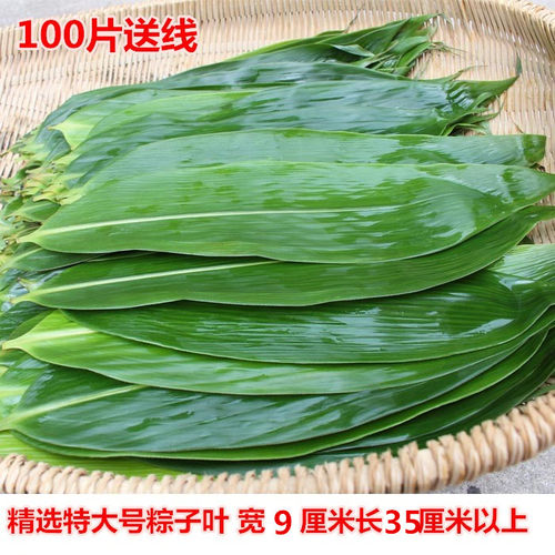 特大精选100片免天然箬叶新鲜