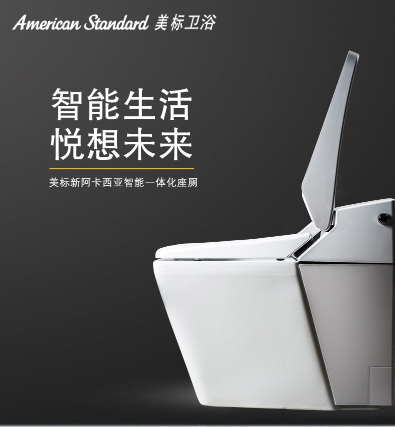 美标一体式智能坐便器带自动翻盖